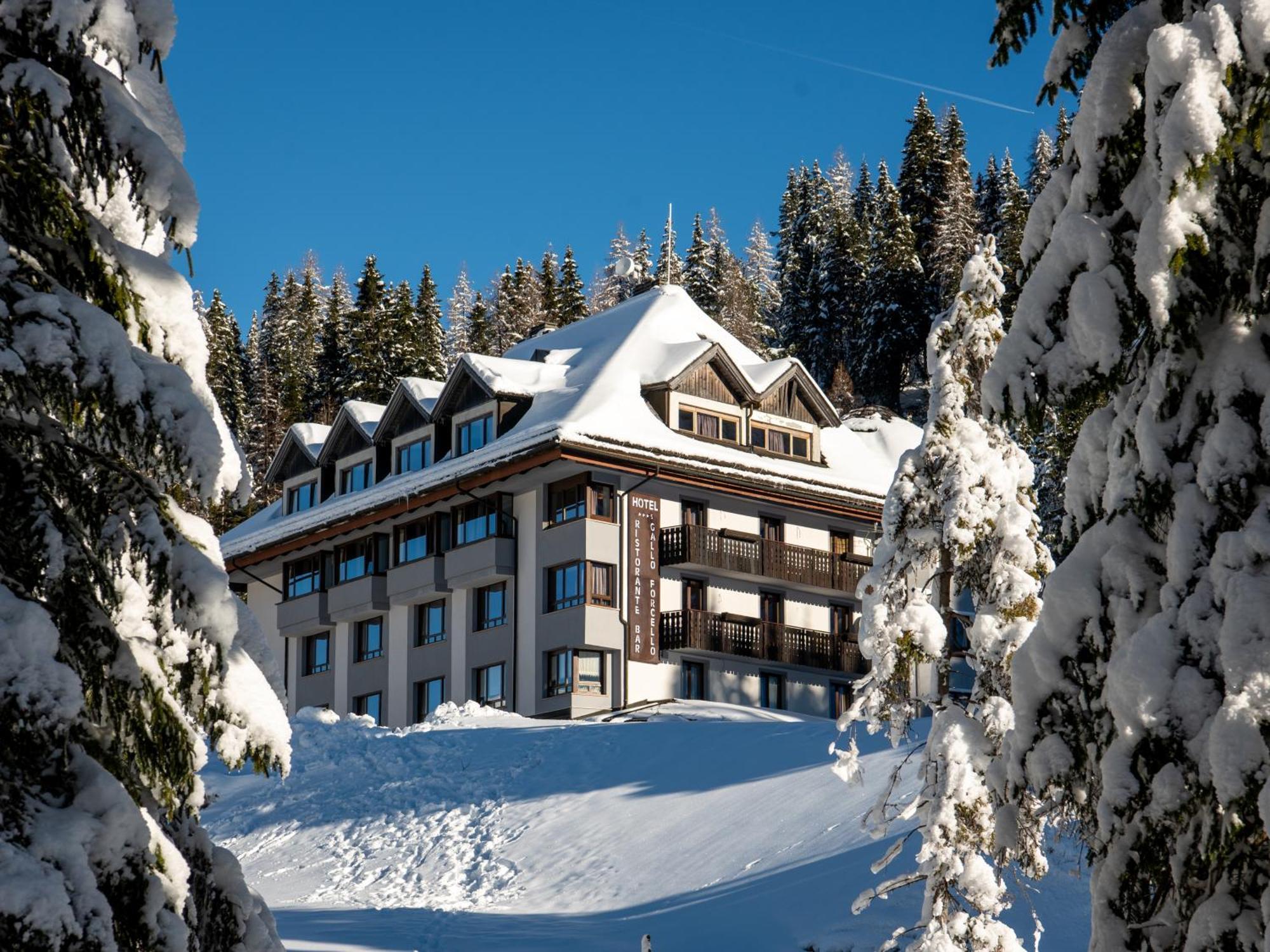 Biker Al Gallo Forcello Hotel Passo Pramollo