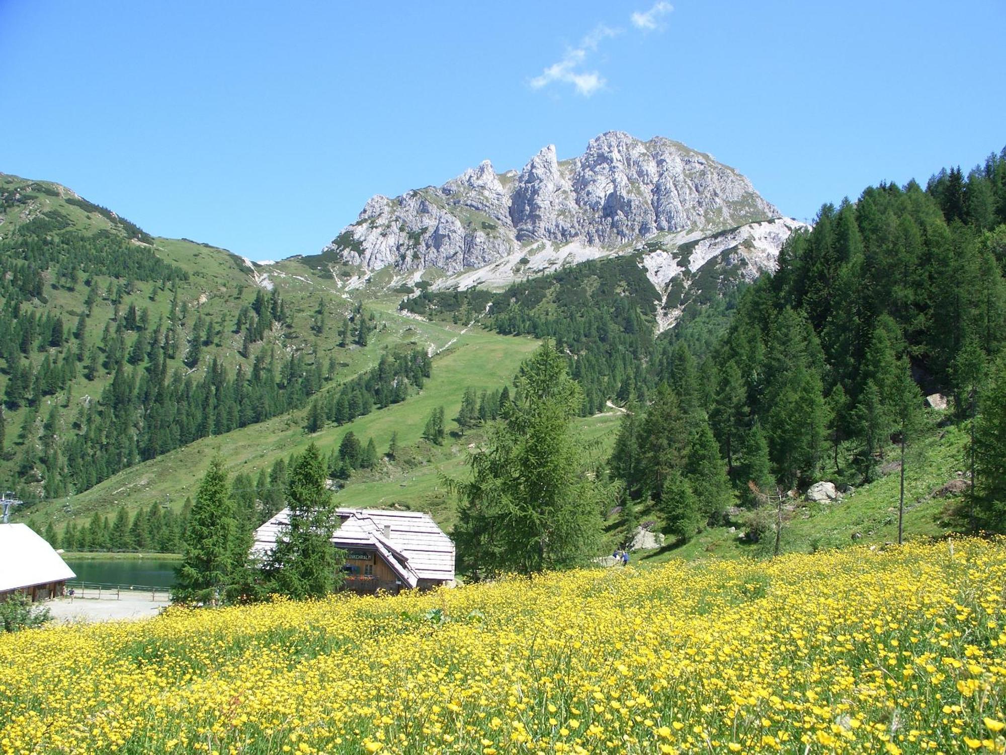 Biker Al Gallo Forcello Passo Pramollo