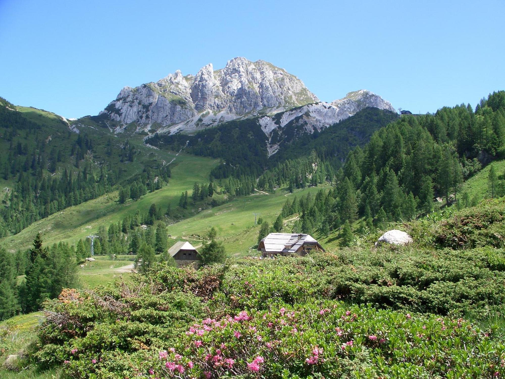 Biker Al Gallo Forcello 3* Passo Pramollo